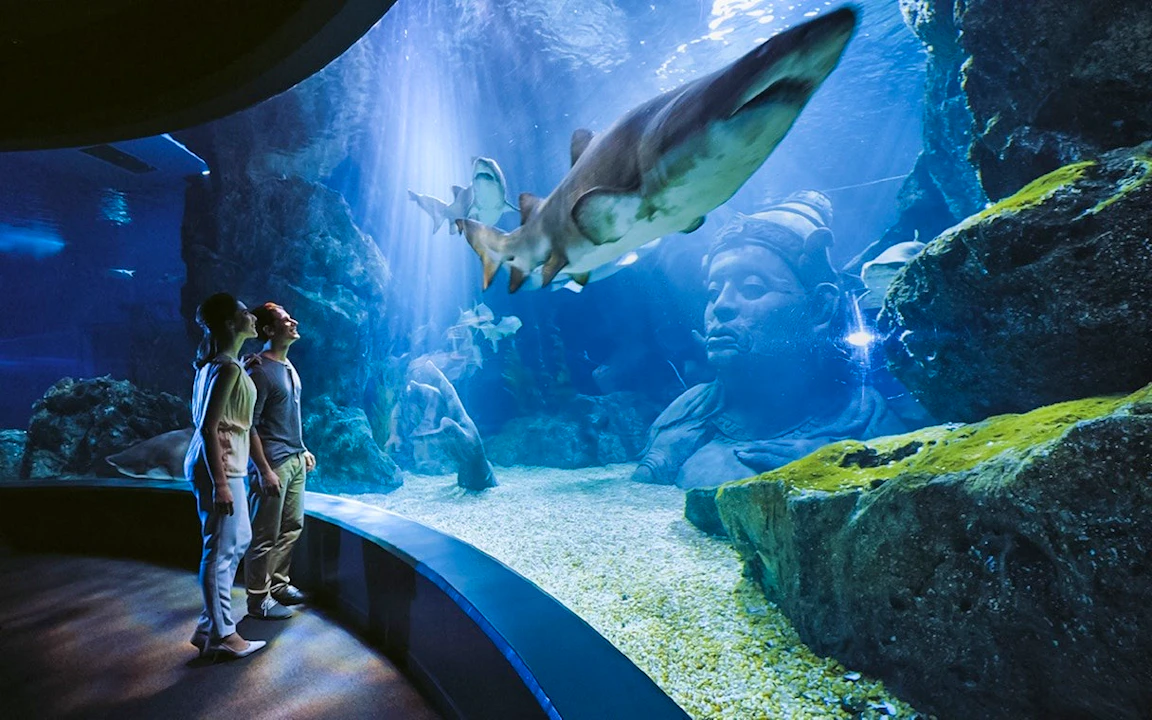 Sea Life Bangkok & Madame Tussauds Combo Tickets
